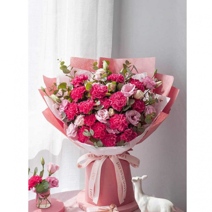 hoa cẩm chướng hồng xinh đẹp