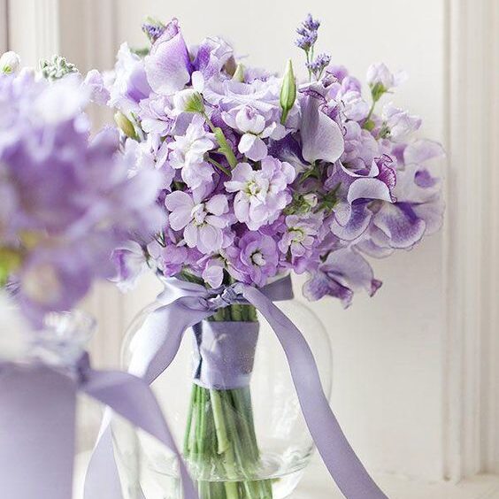 hoa cưới màu tím