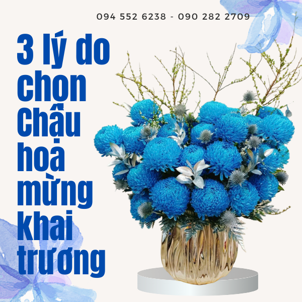 chậu hoa khai trương